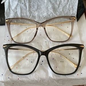 Oversized Clear Sunglasses